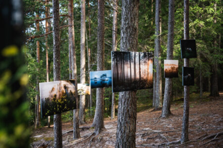 Forest Photo Exhibition ORIGINALS