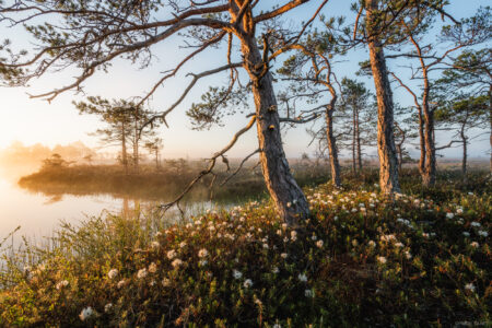 Pärnumaa 1