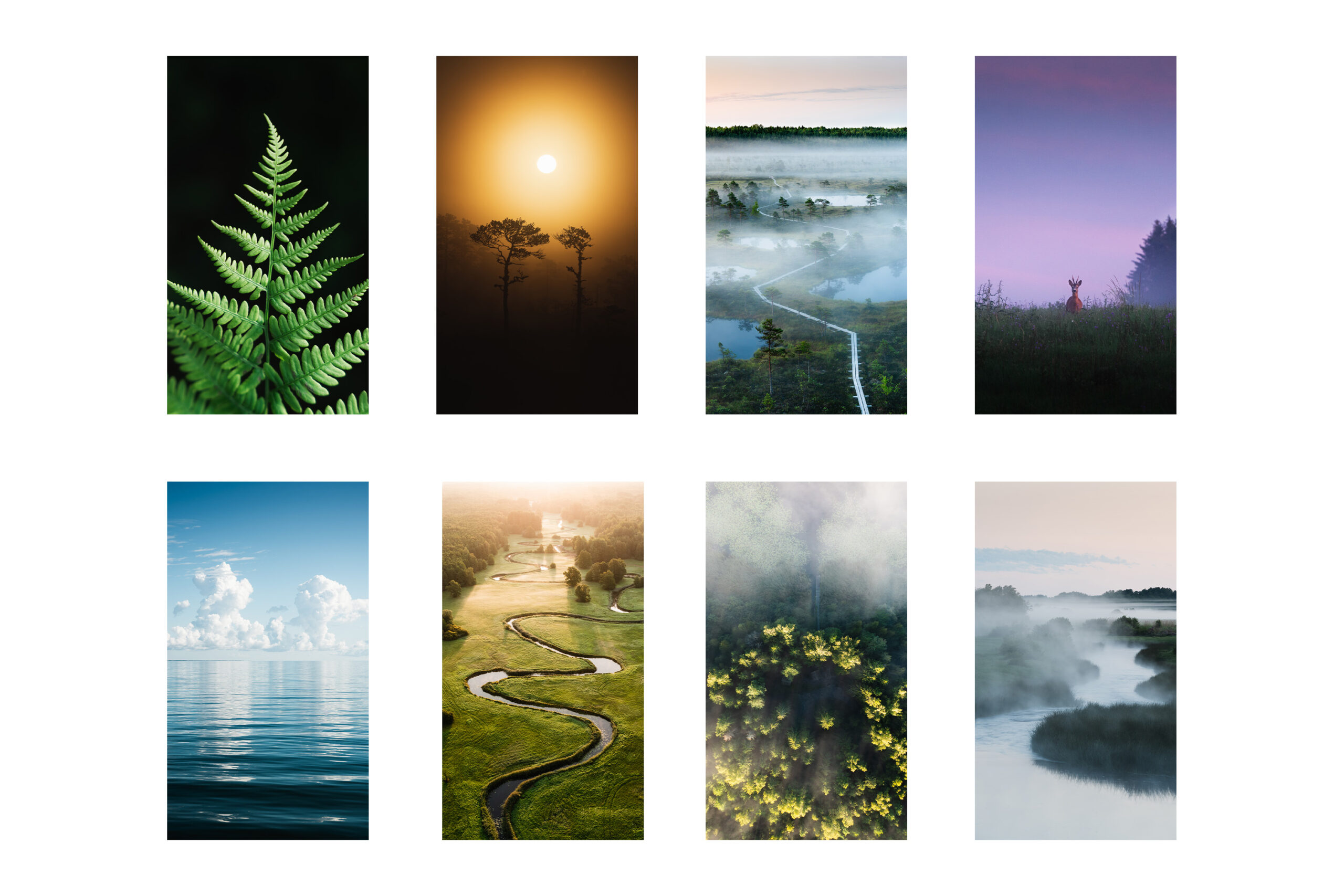 Estonian nature wallpapers / Summer for PHONE (Set of 8) – | PRIIDU ...