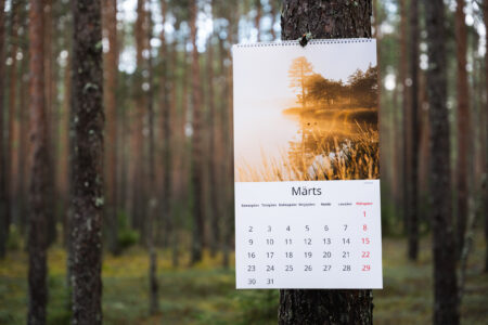 Eestimaa maastike kalender 2026 / Estonian landscapes calendar 2026 by Priidu Saart