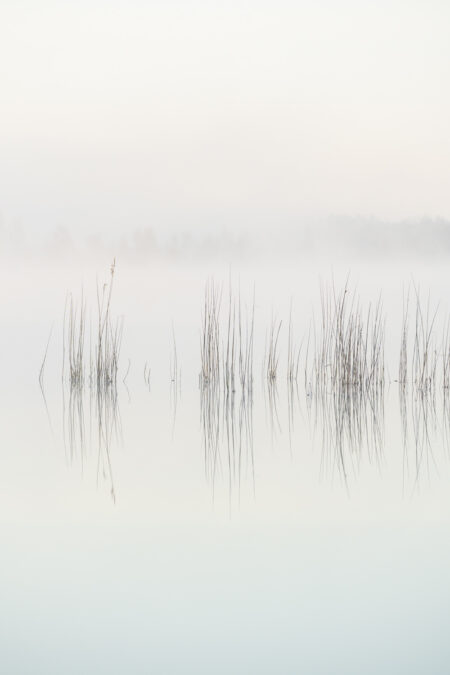 JÄRVEPEEGEL